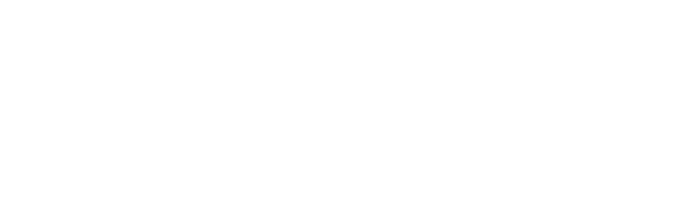 Brevo logo for dark backgrounds