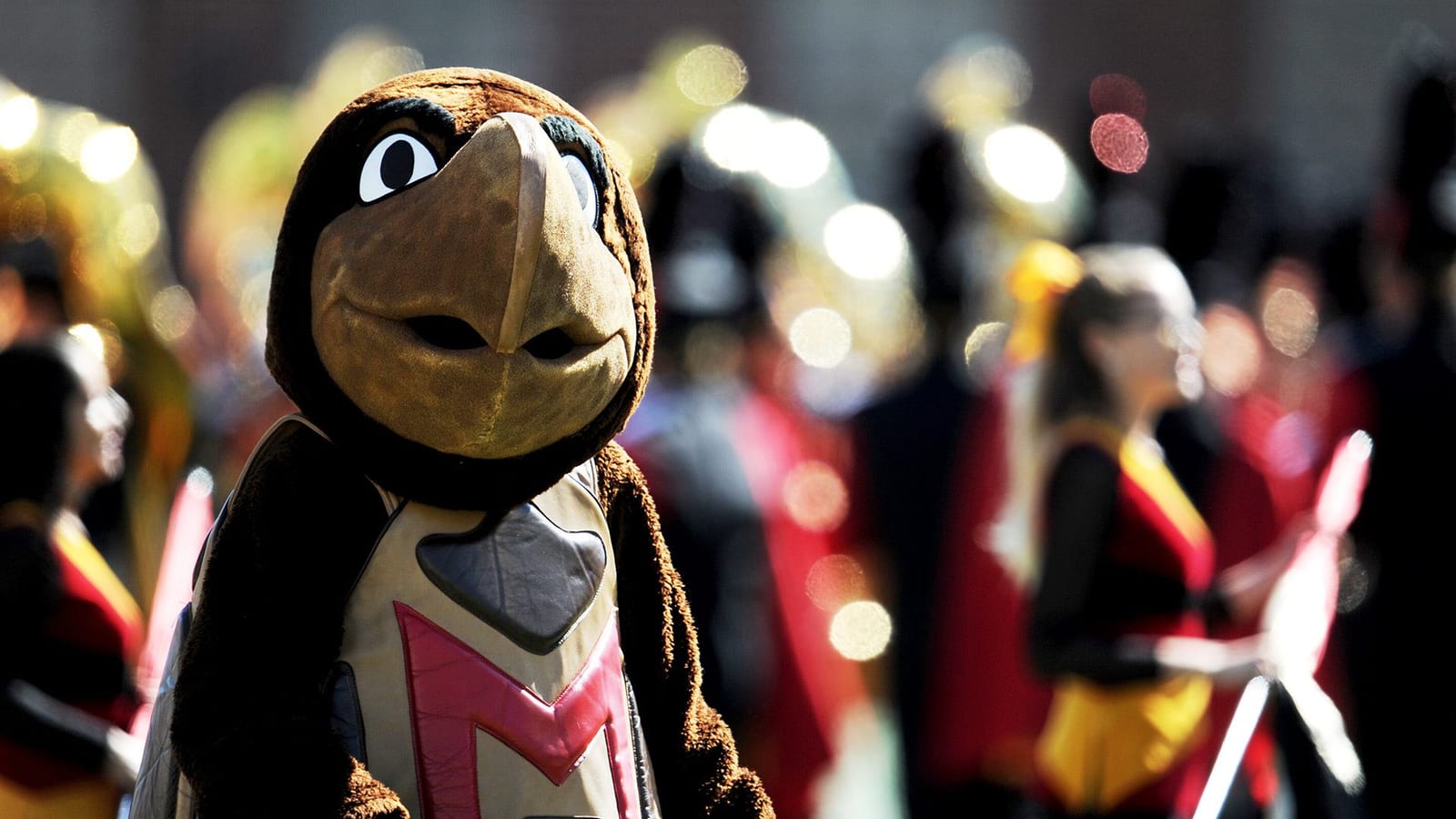 University of Maryland share image