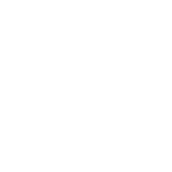Casio icon for dark backgrounds