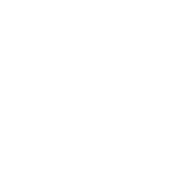 Marca icon for dark backgrounds