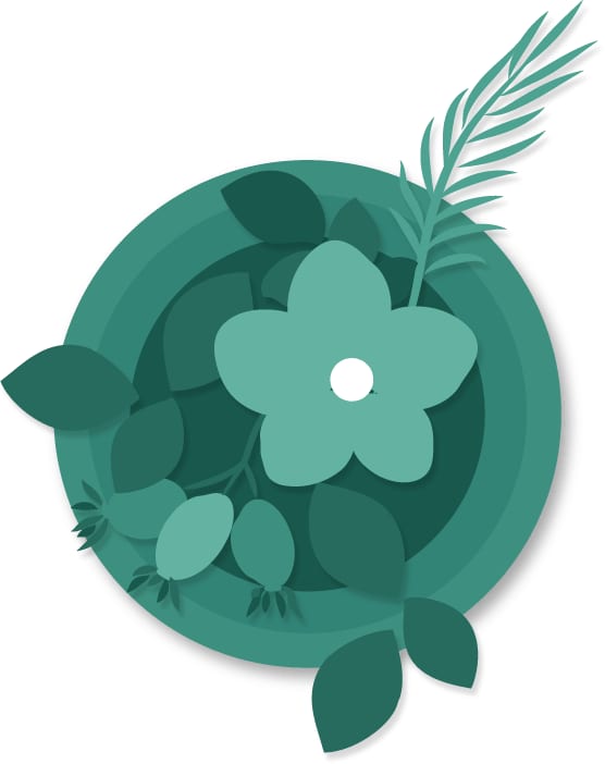 Blogger image 2