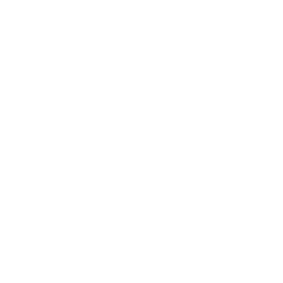 Postman icon for dark backgrounds