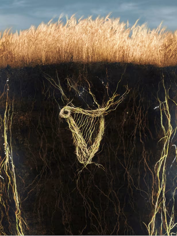 Guinness image 4