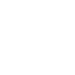 Togg icon for dark backgrounds