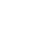 BelAZ icon for dark backgrounds