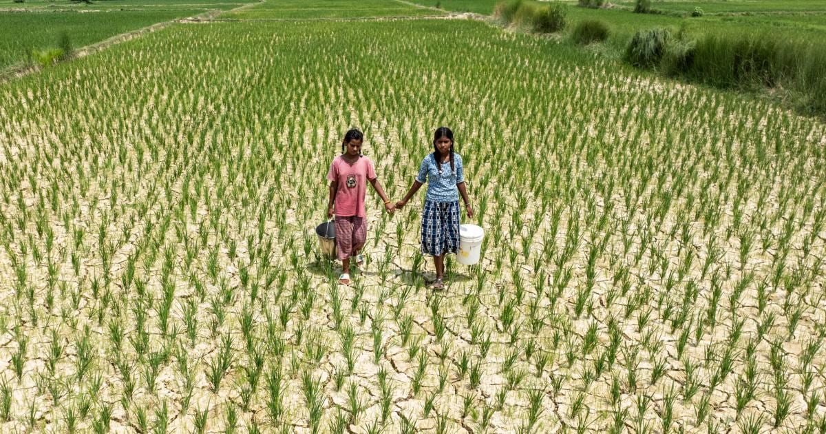 UNICEF share image