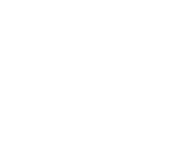 The Verge symbol for dark backgrounds