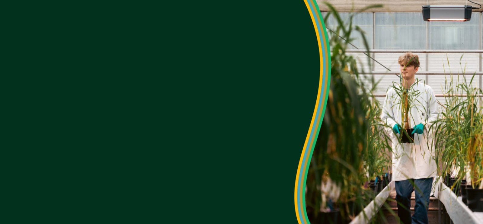 Carlsberg Group image 6
