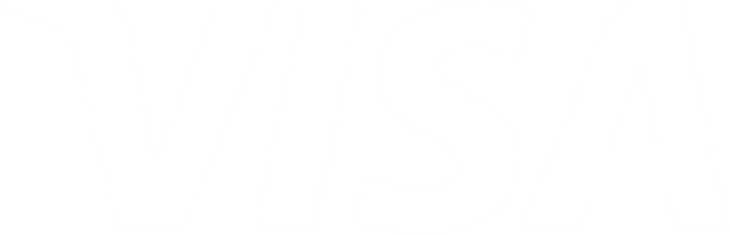 Visa logo for dark backgrounds