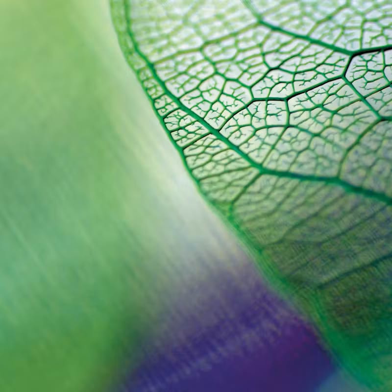 AXA image 1