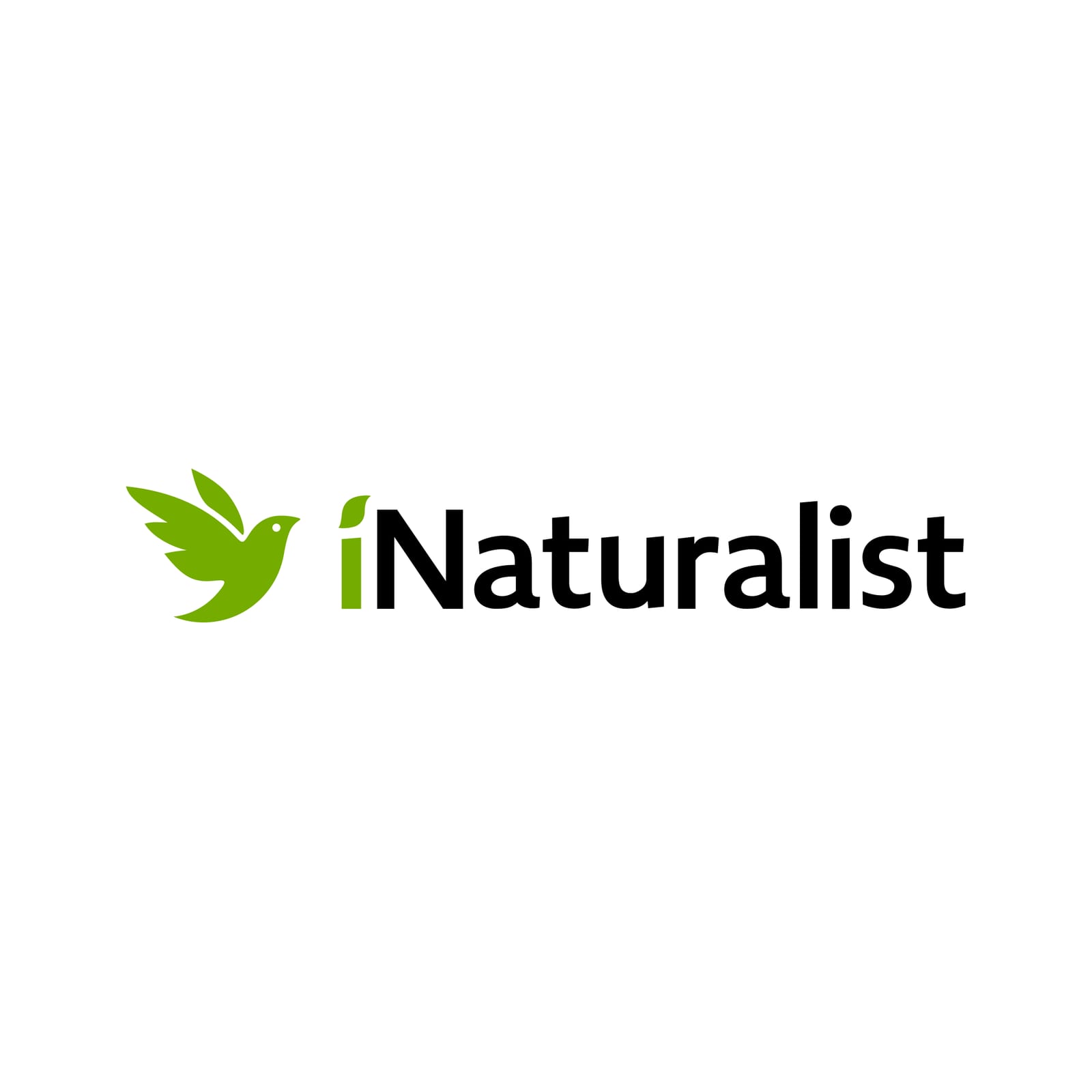 iNaturalist share image