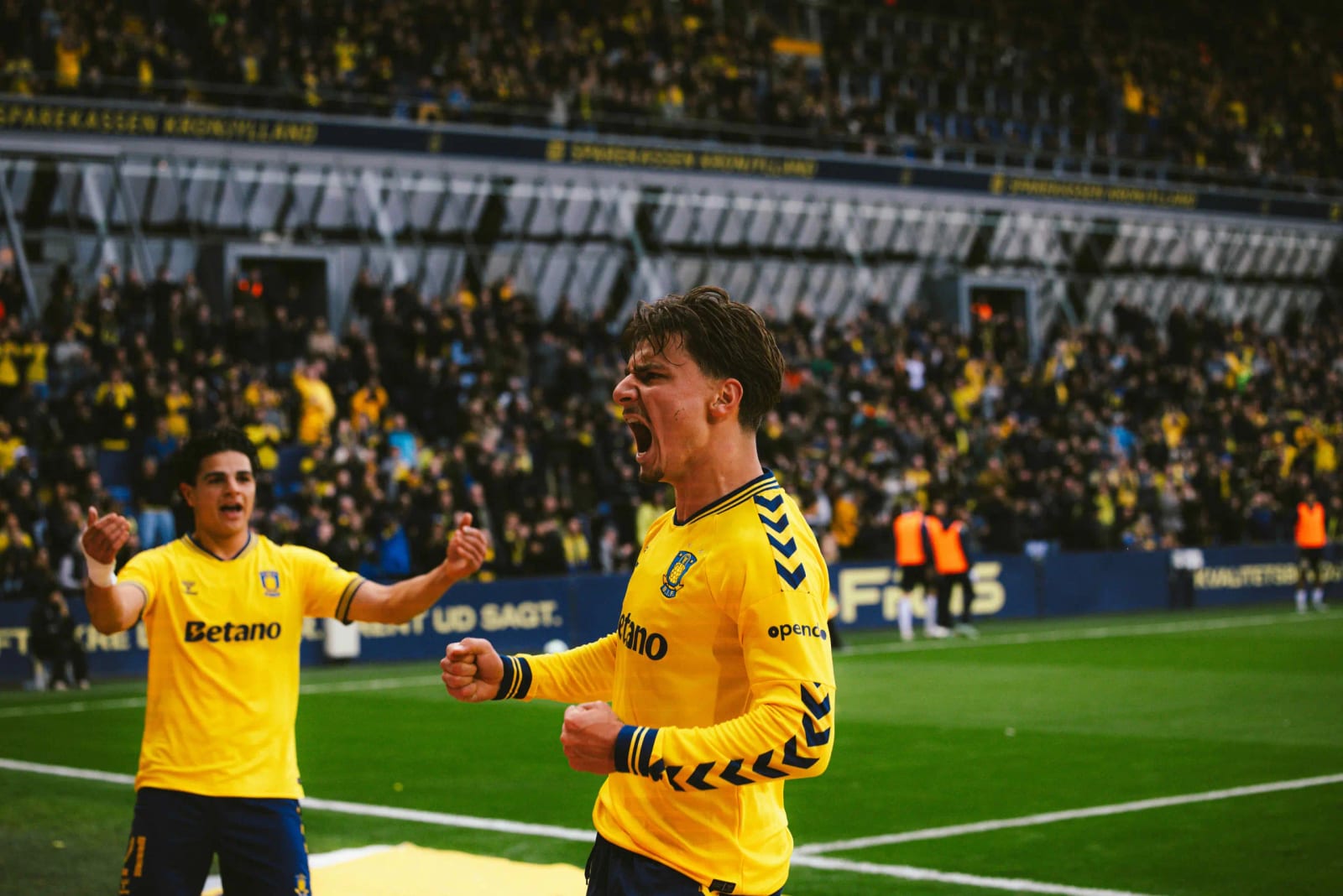 Brøndby IF image 6