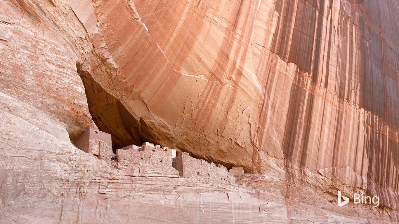 Microsoft Bing share image