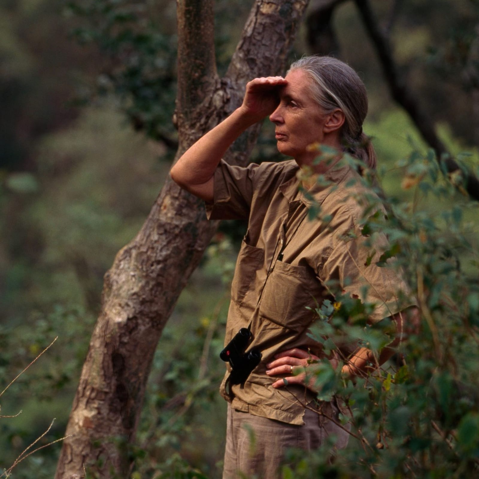 National Geographic Society image 4