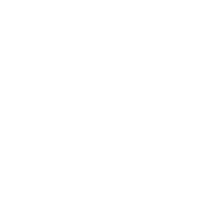 Leonardo icon for dark backgrounds
