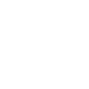 Pathao symbol for dark backgrounds