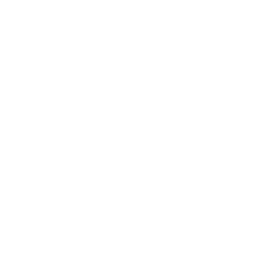 Pratt & Whitney icon for dark backgrounds