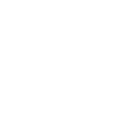 The Verge icon for dark backgrounds