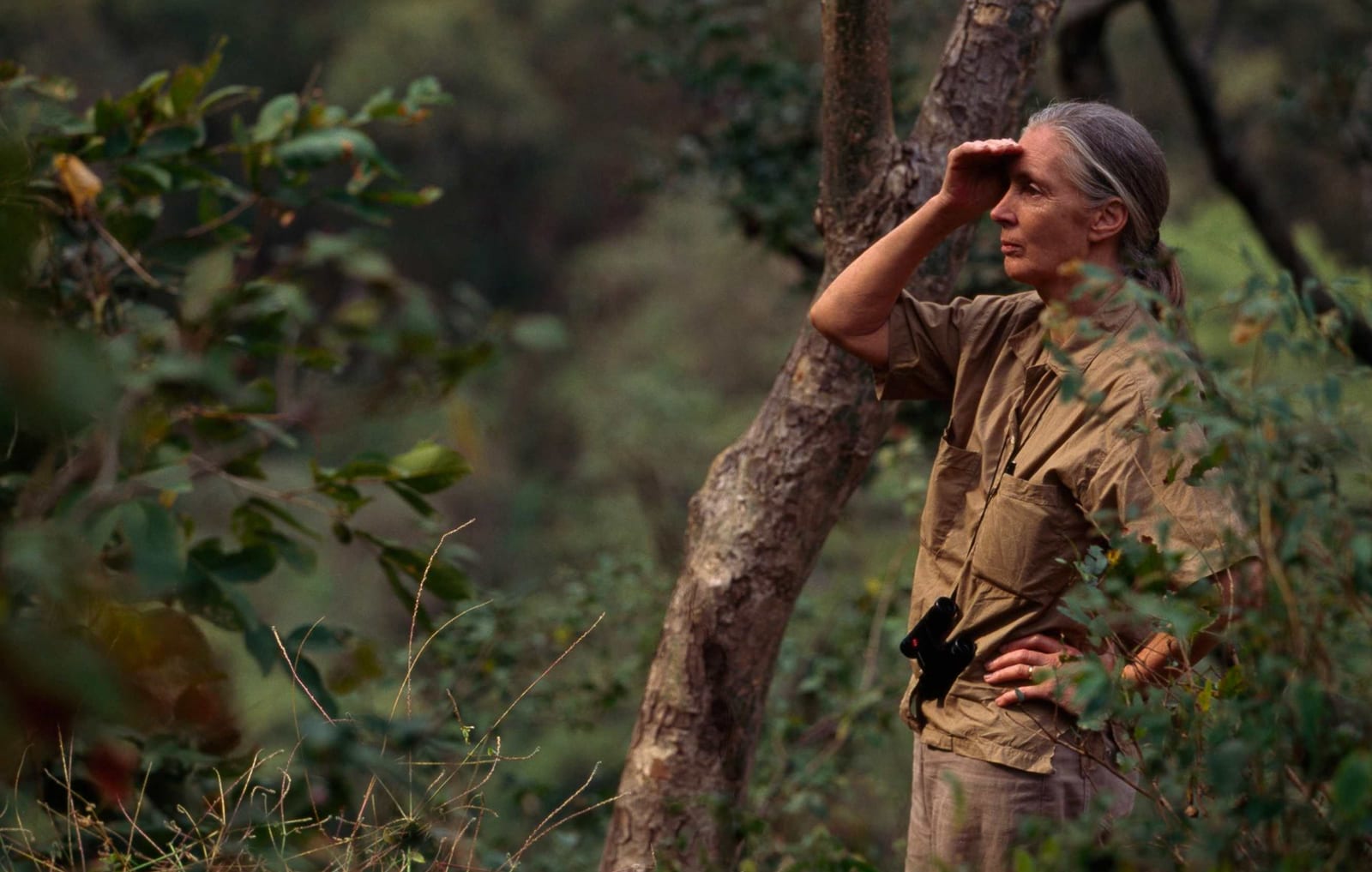 National Geographic Society image 3
