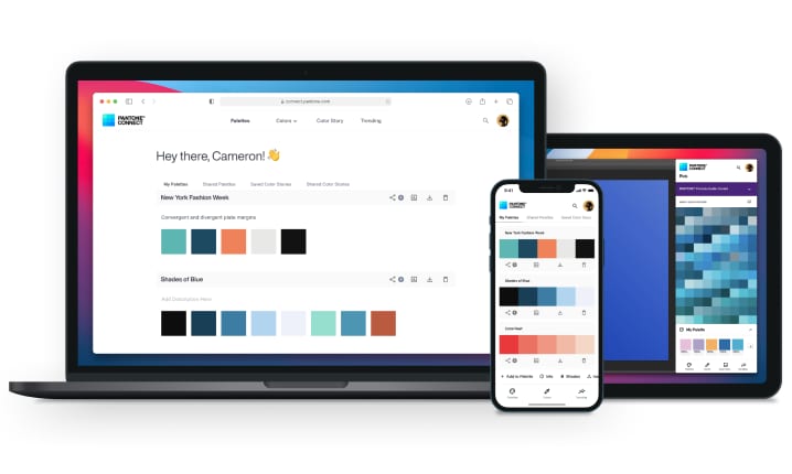 Pantone image 2