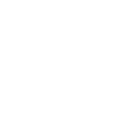 Azerbaijan Railways icon for dark backgrounds