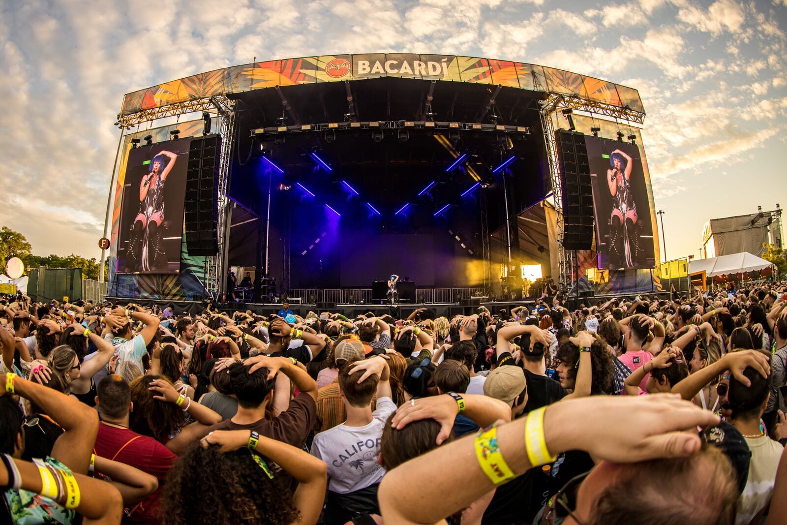 Bacardi image 3