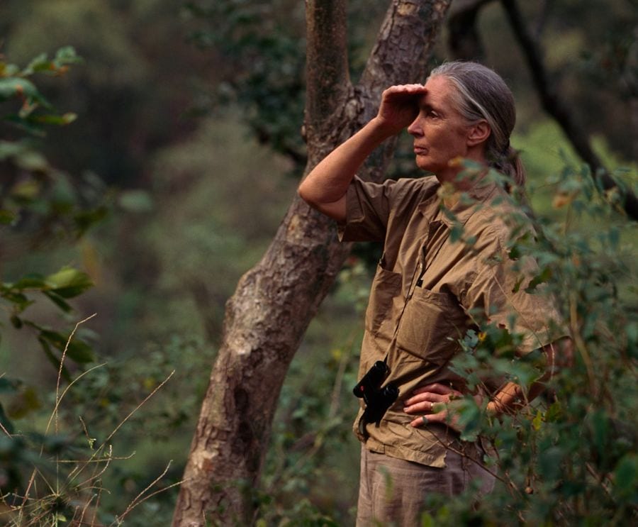 National Geographic Society image 2